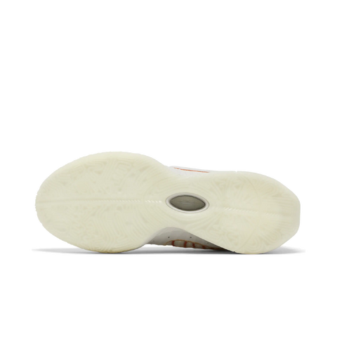 Nike LeBron 21 Akoya