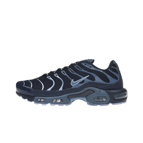 Nike Air Max Plus Obsidian Aluminum