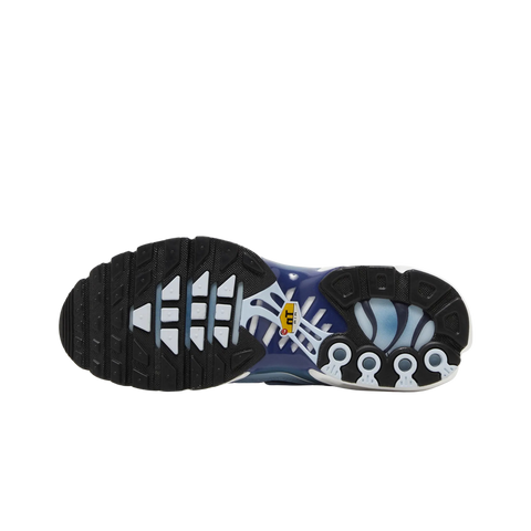 Nike Air Max Plus Celestine Blue (Women's)