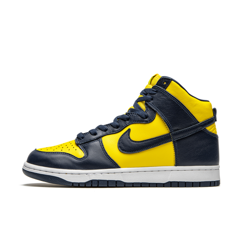 Nike Dunk High Michigan (2020)